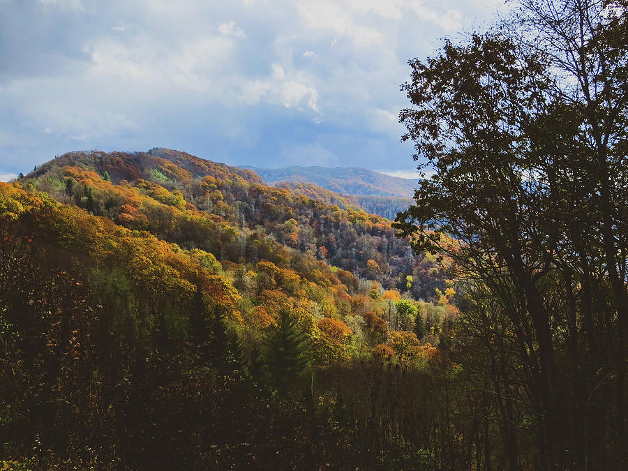 Great Smoky Mountains National Park Photograph by Rachel Morrison