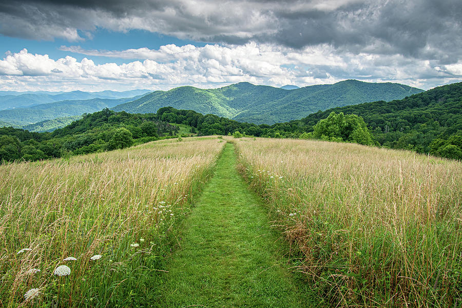 Great Smoky Mountains NC Fields Of Glory Photograph by Robert Stephens