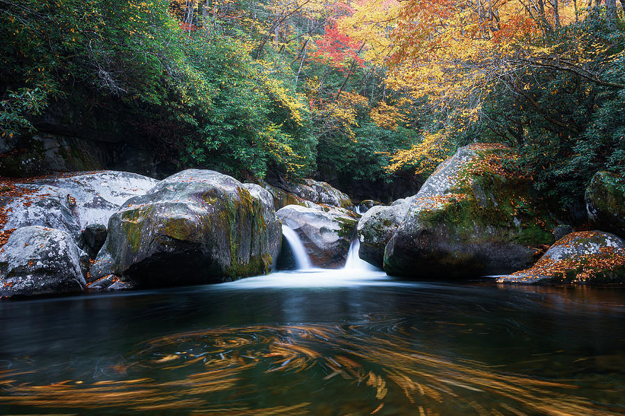 Great Smoky Mountains North Carolina Tennessee Midnight Autumn Swirl Photograph