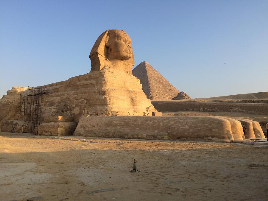 Great Sphinx Photograph by Trevor Grassi