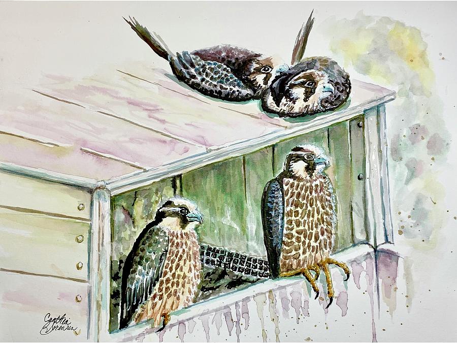 Great Spirit Bluff Falcons Painting by Cynthia Sorensen
