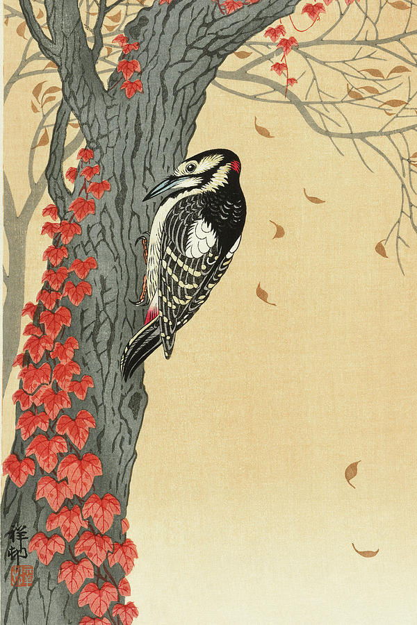 Ohara Koson Painting - Great spotted woodpecker in tree with red ivy by Ohara Koson