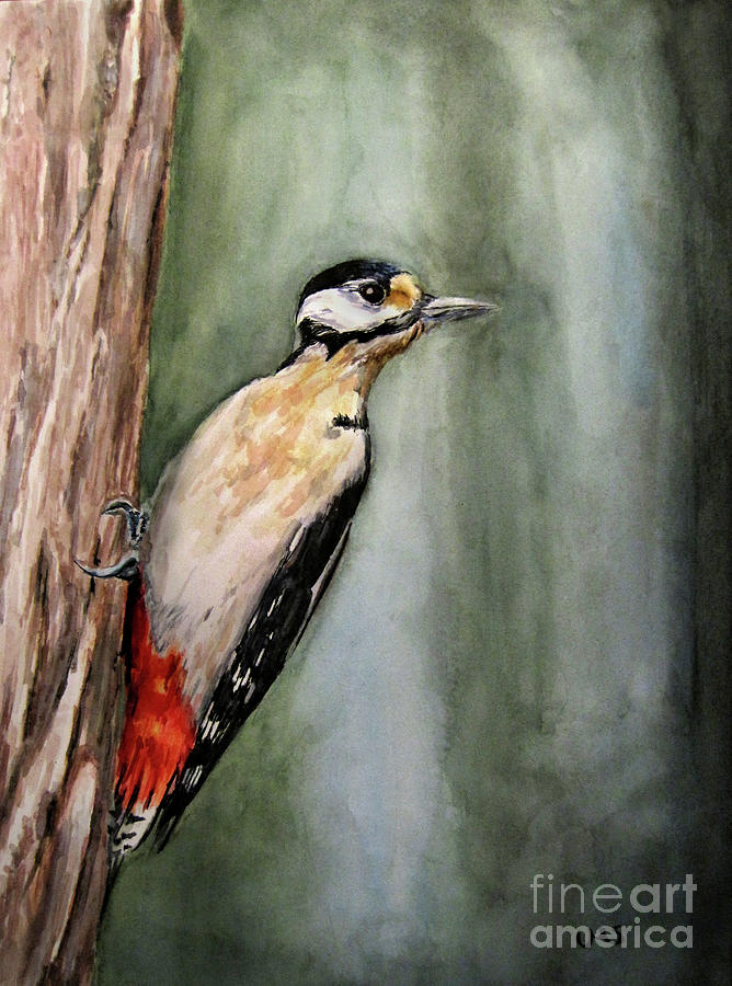 Great Spotted Woodpecker Painting by Ulrike Miesen-Schuermann