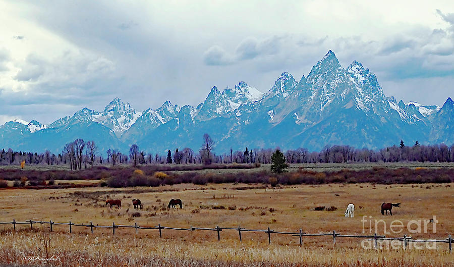 Great Tetons Pano Photograph by Debby Pueschel