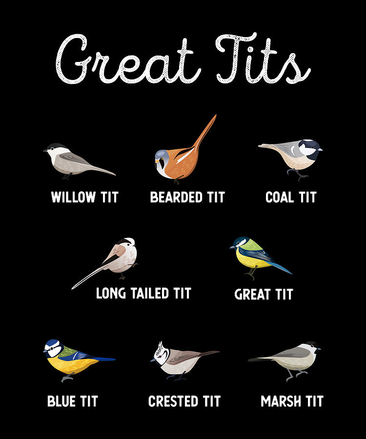 Great Tits Birdwatching Funny Birding Digital Art By Qwerty Designs Pixels