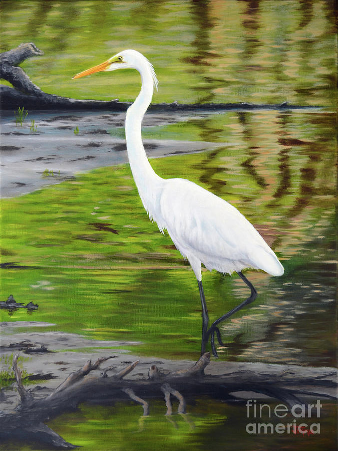 Great White Egret Painting by Jimmie Bartlett