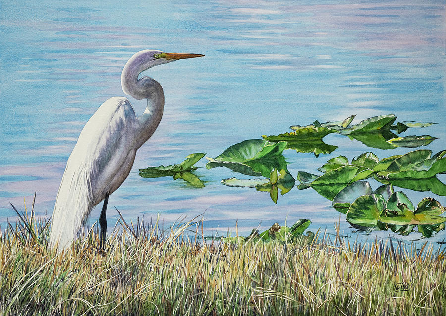 Great White Egret Painting by Lisa Tennant