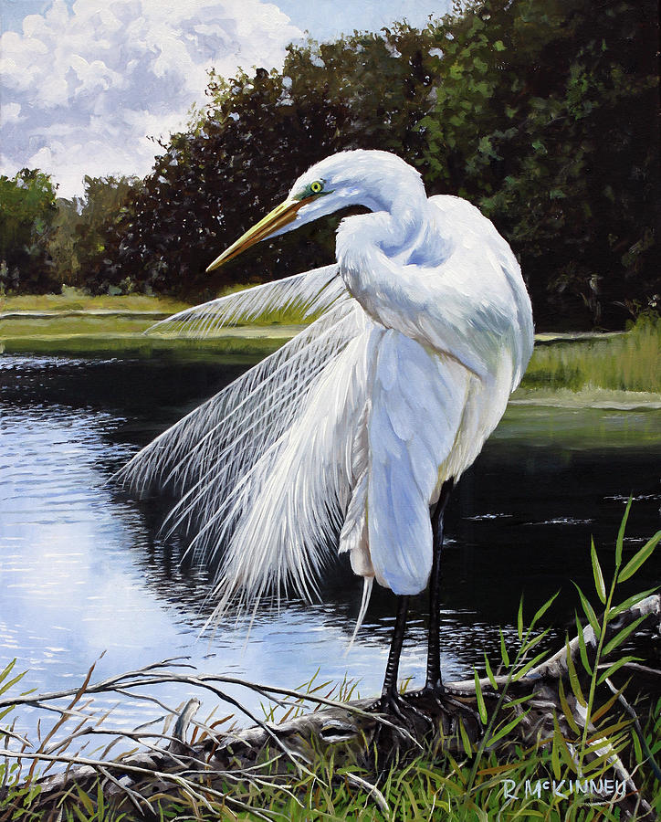 Egret Painting - Great White Egret by Rick McKinney