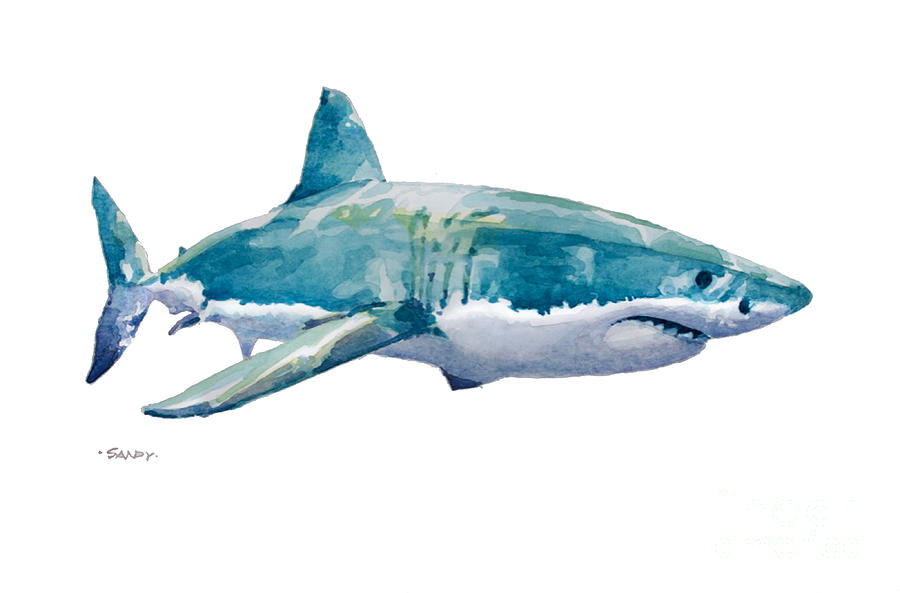 Great White Shark Painting - Great White by Sandy Wenell Thornton