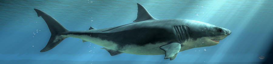 Jaws Digital Art - Great White by Art of the Shark