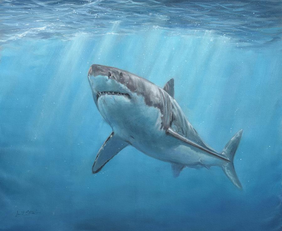 Great White Shark Painting by David Stribbling