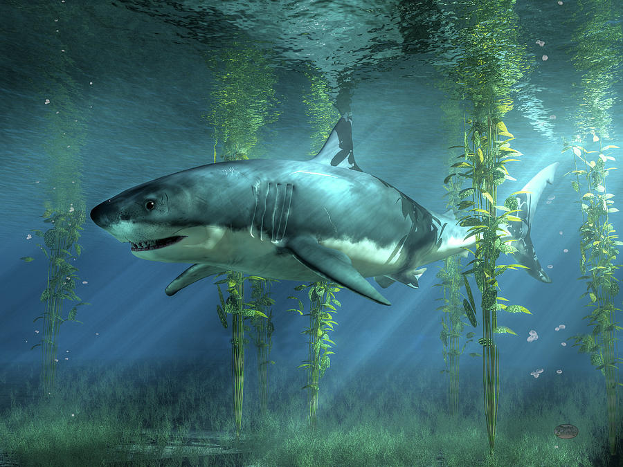 Great White Shark in the Seaweed Digital Art by Daniel Eskridge
