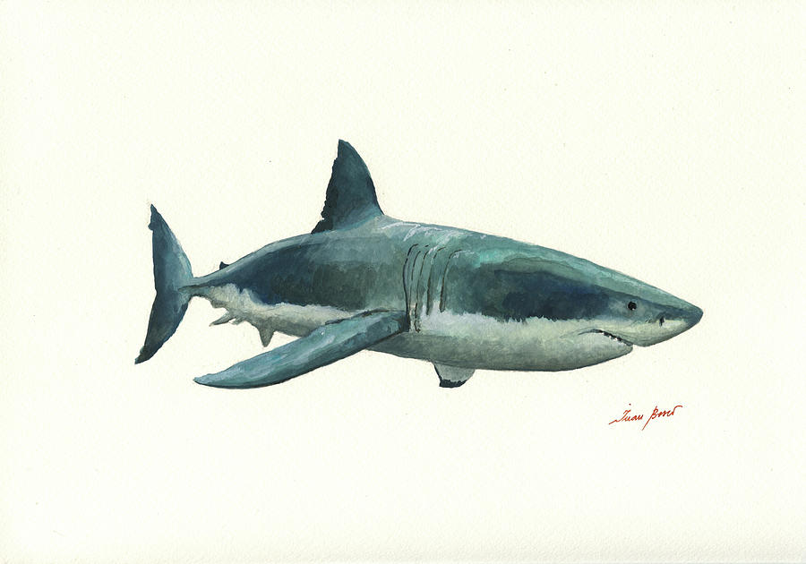 Great White Shark Painting - Great white shark by Juan Bosco