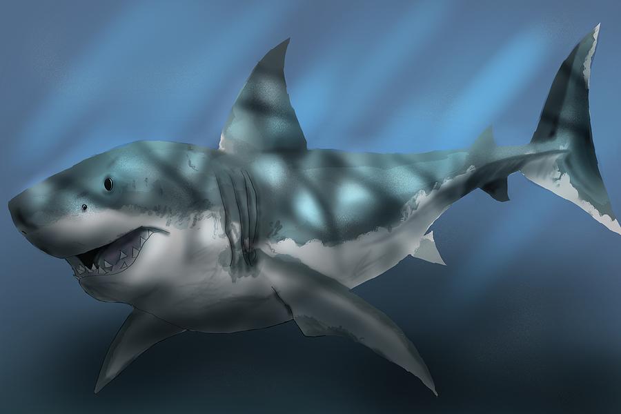 Great white shark Digital Art by Stark Ry - Fine Art America