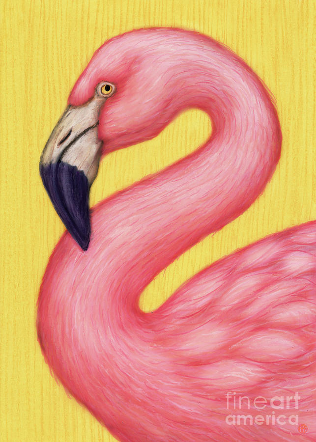 Greater Flamingo  Painting by Amy E Fraser