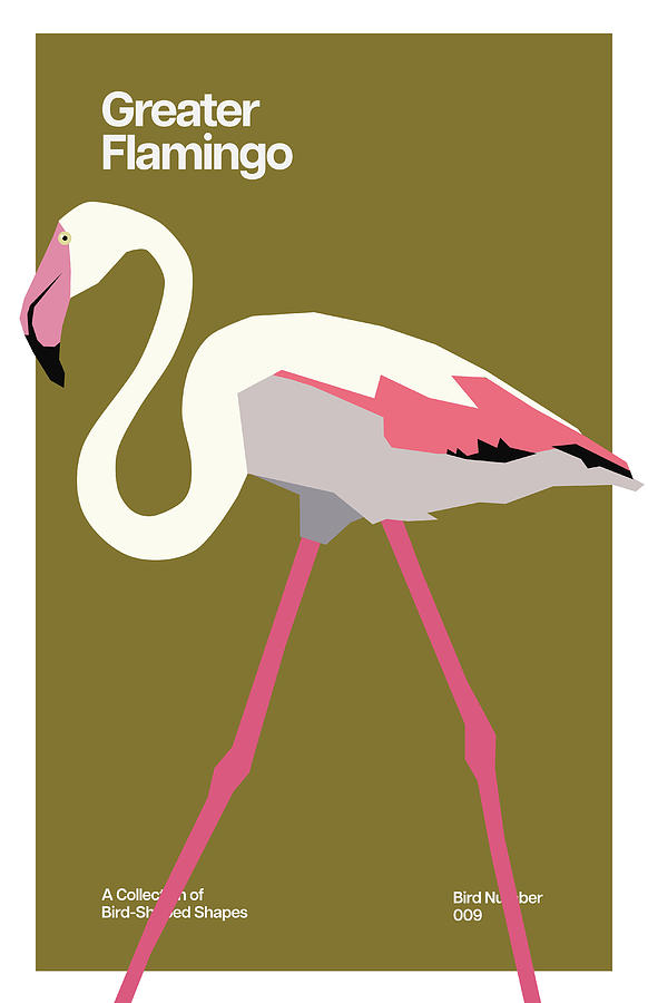 Greater Flamingo Digital Art by Joslin Lee - Fine Art America