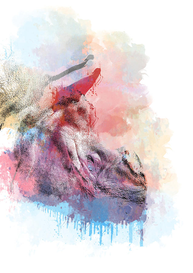 Greater One Horned Rhino Digital Art Digital Art