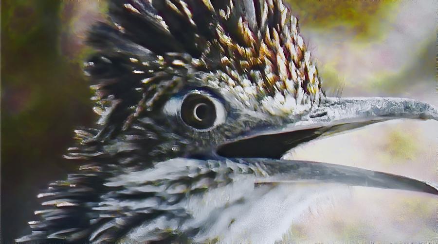 Greater Roadrunner Portrait Photograph by Judy Kennedy