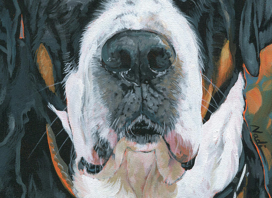 Greater Swiss Mountain Dog Mask Painting by Nadi Spencer