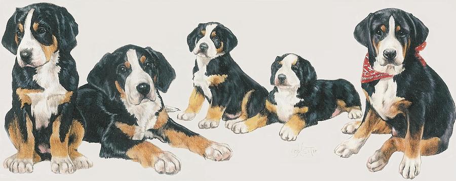 Greater Swiss Mountain Puppies Mixed Media by Barbara Keith