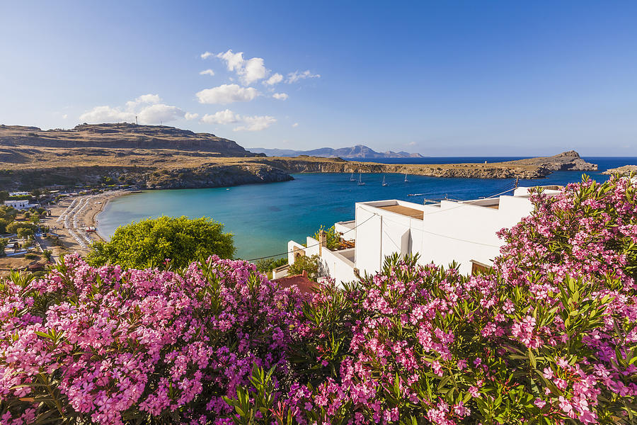 Greece, Rhodes, Lindos, View of bay. oleander in the foreground Photograph by Westend61