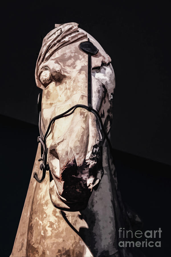 Greek Zombie Horse Digital Art by Susan Vineyard