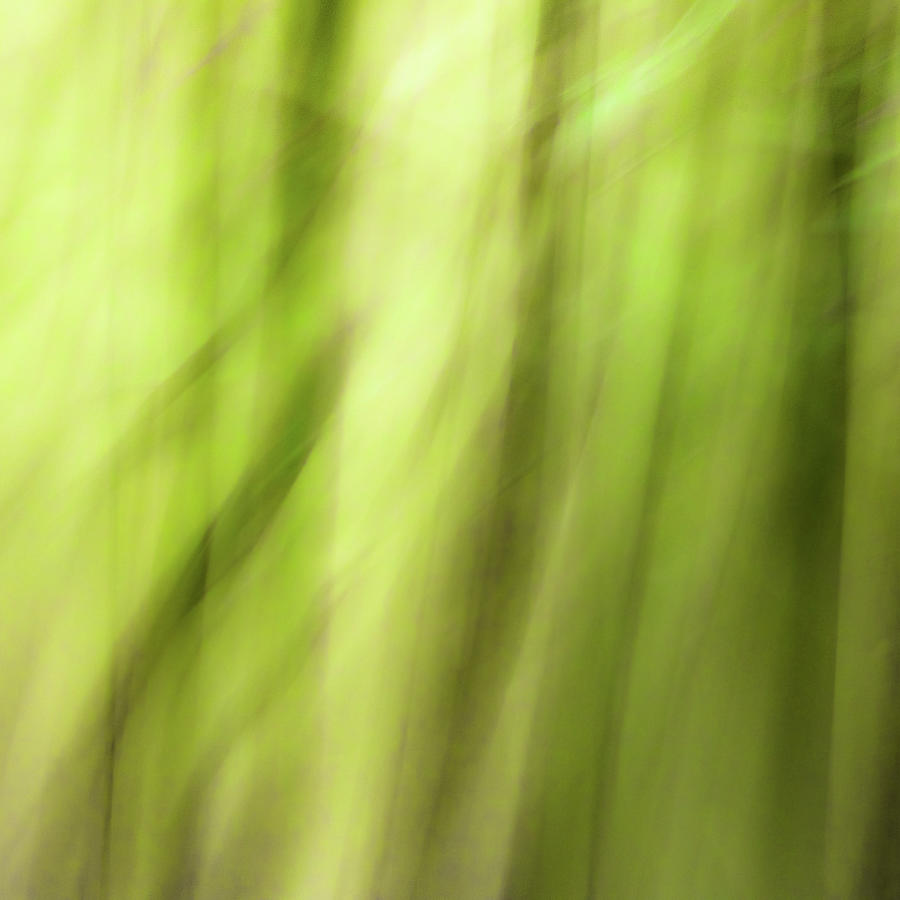 Green abstract Photograph by Cristina Stefan