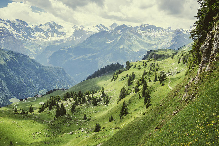 Green Alps Summer Landscape Photograph by Pati Photography - Fine Art ...