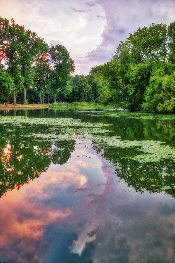 Green And Pink Photograph by Zev Steinhardt