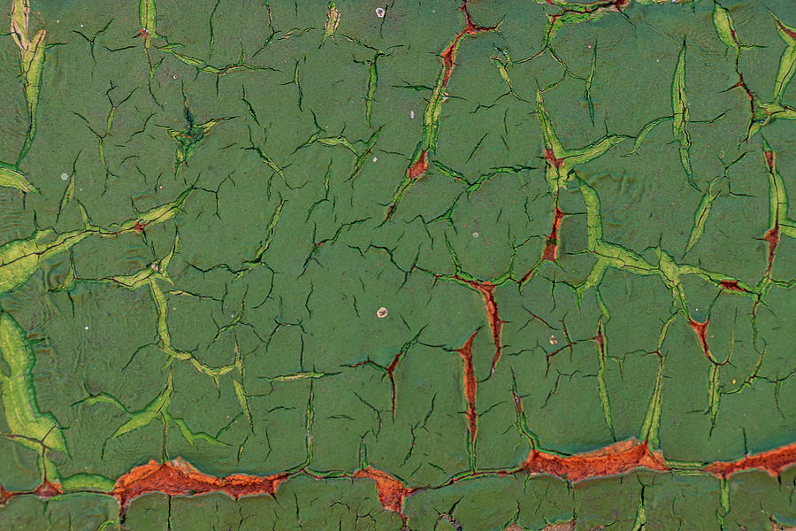 Green and Red Cracked Paint Photograph by Amelia Pearn