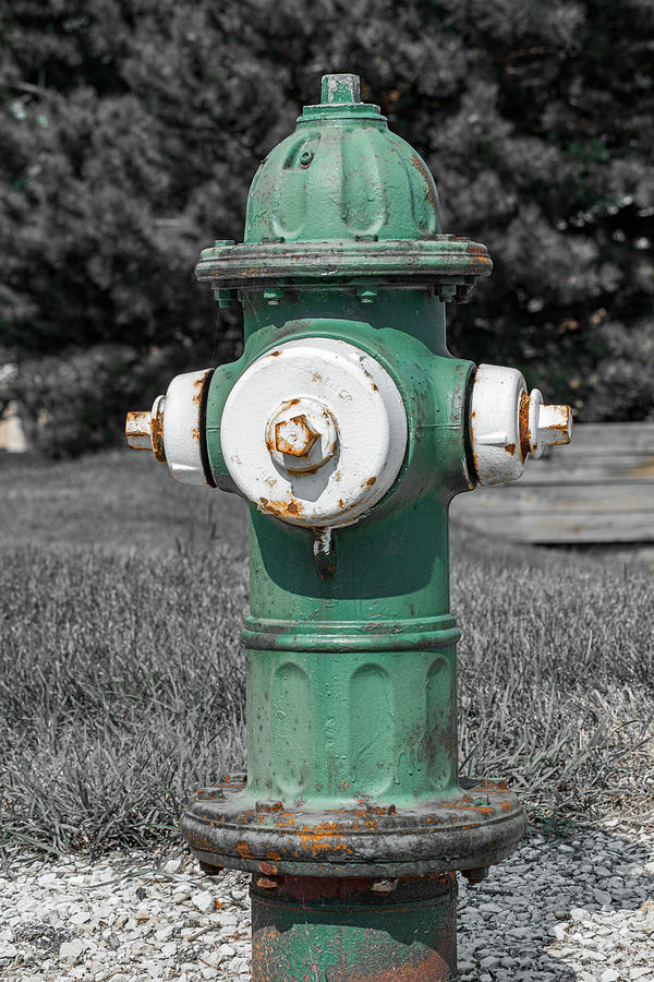 Green And White Fire Hydrant Photograph By Enzwell Designs Fine Art   Green And White Fire Hydrant Enzwell Designs 