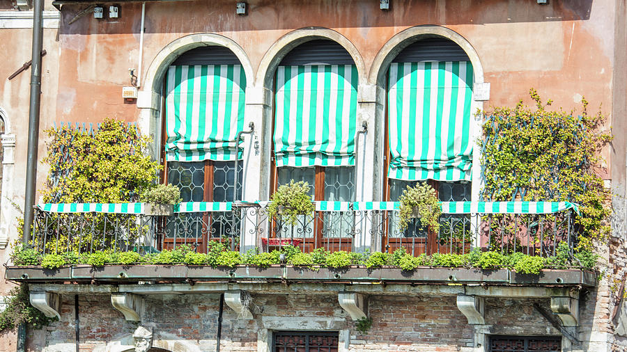Green and White in Venice Italy  Photograph by John McGraw