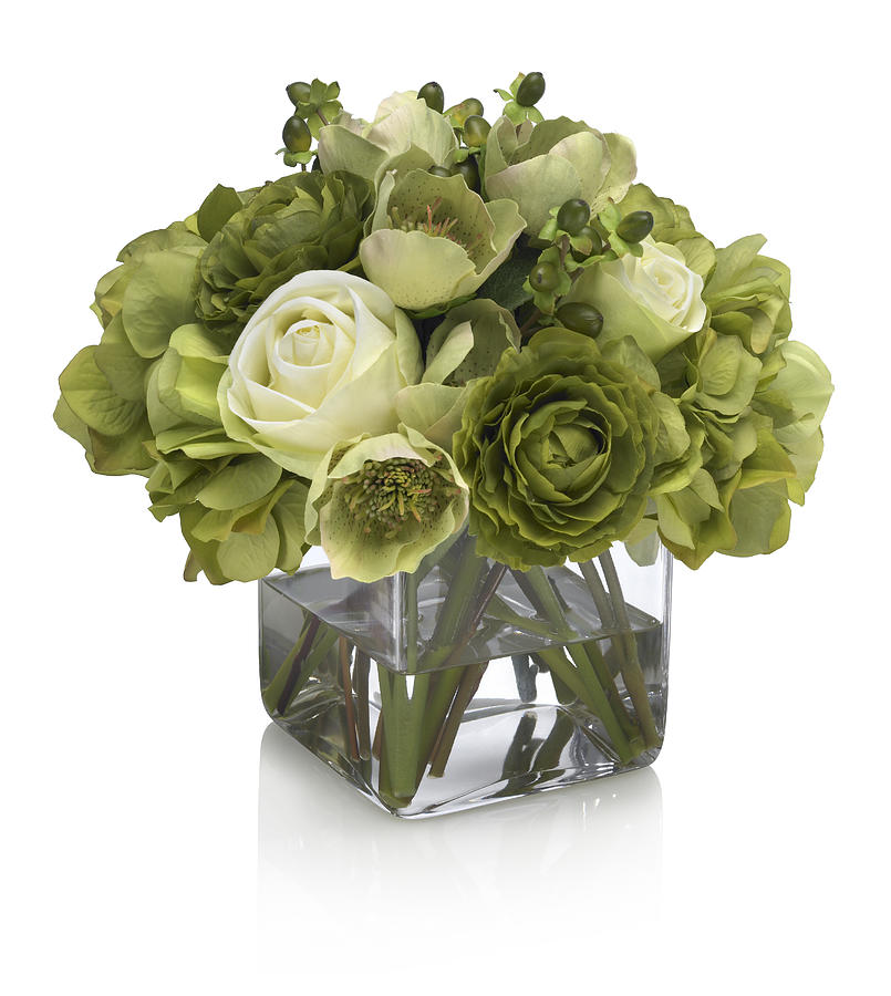 Green and white roses with hydrangea bouquet on white background Photograph by Jonathansloane