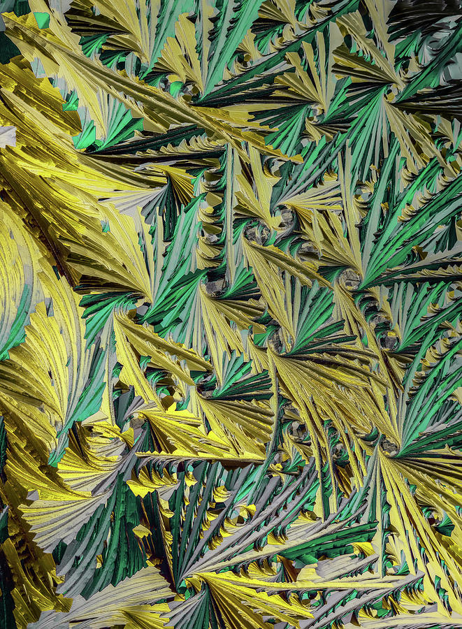 Green and yellow swirls Photograph by Jaroslaw Blaminsky
