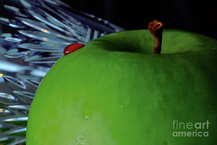  Green Apple  -  Red Drop Photograph by Elisabeth Derichs