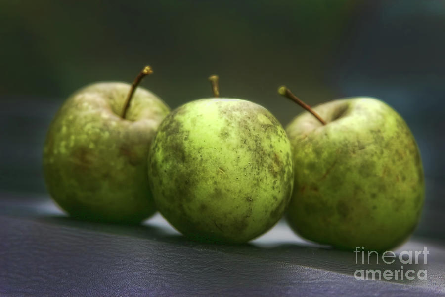 Green Apples Photograph by Joan Bertucci