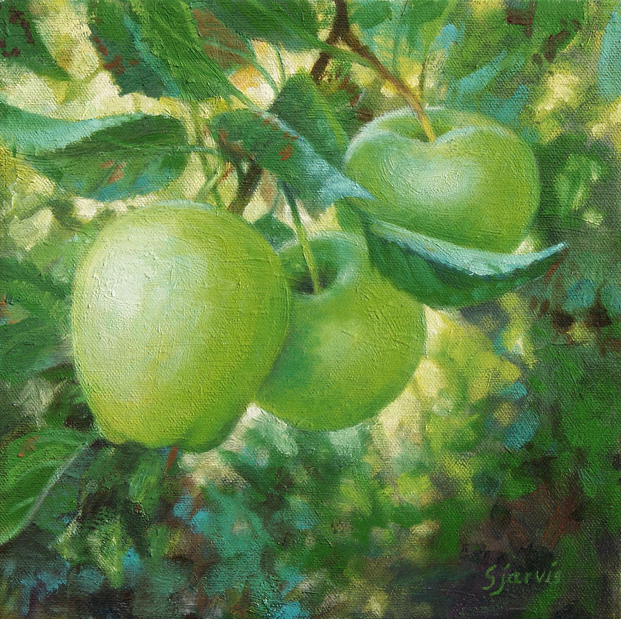 Apple Painting - Green Apples by Susan N Jarvis