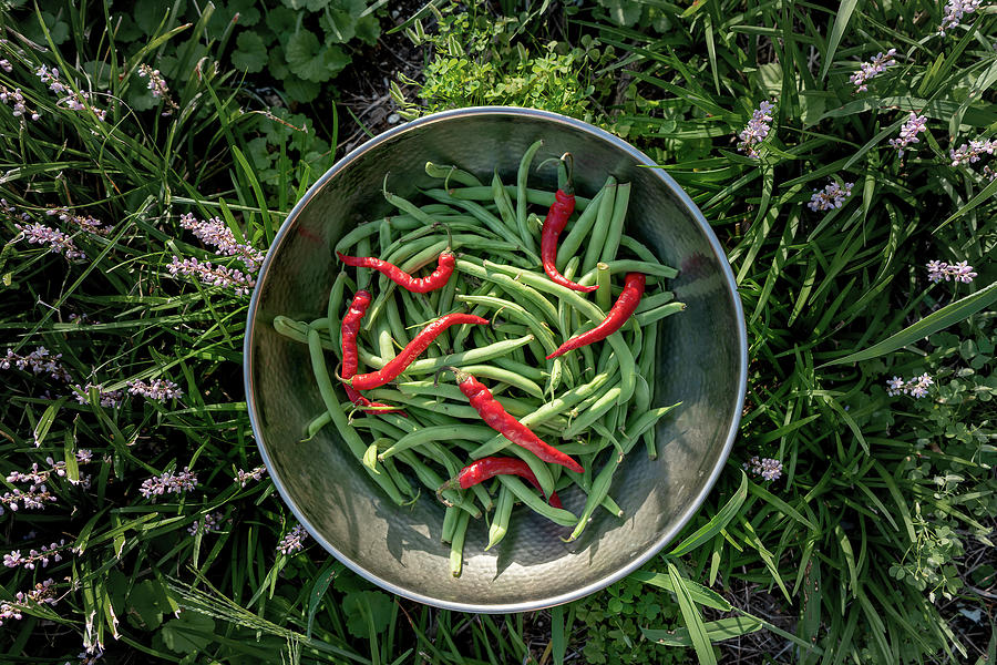 Green Beans with Red Peppers Photograph by Sharon Popek