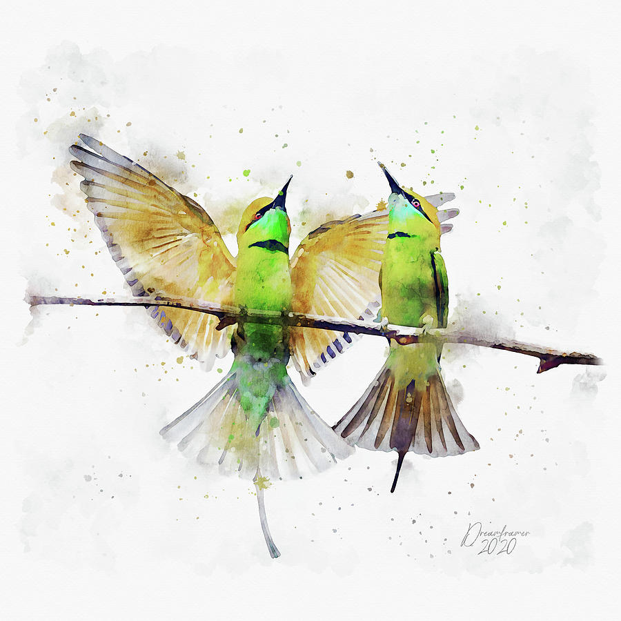 Green Bee-eater Couple Painting by Dreamframer Art | Fine Art America