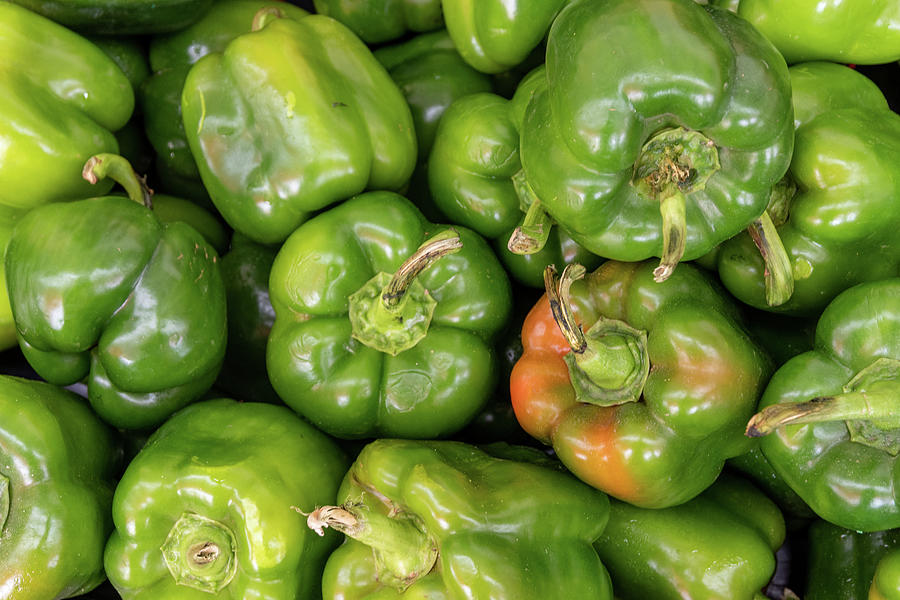 Green Bell Peppers Photograph by Bradford Martin