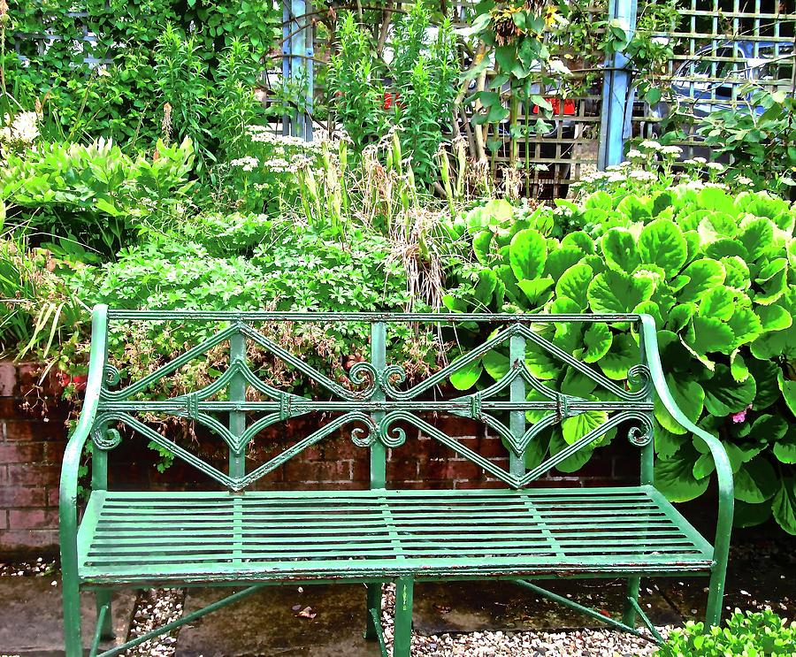 Green Bench Photograph by Stephanie Moore