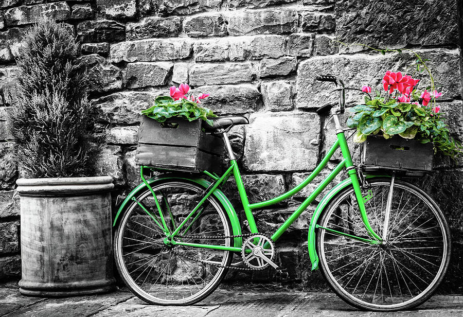 Green bicycle with flowers Photograph by Alexey Stiop