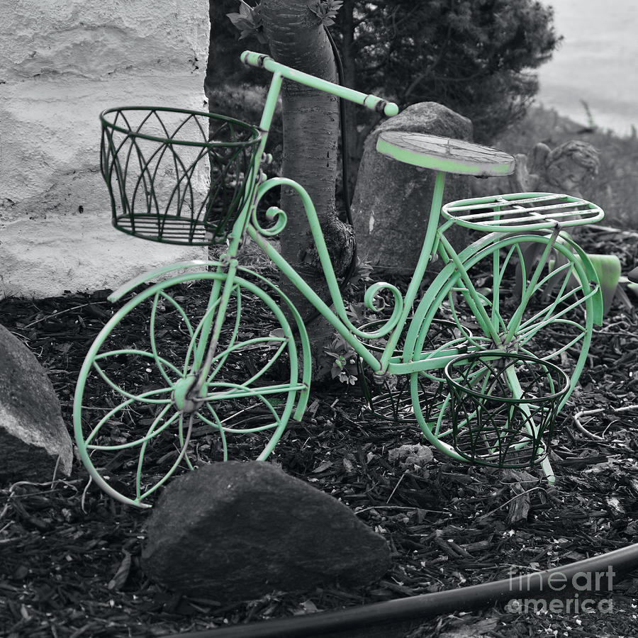 Green Bike Photograph