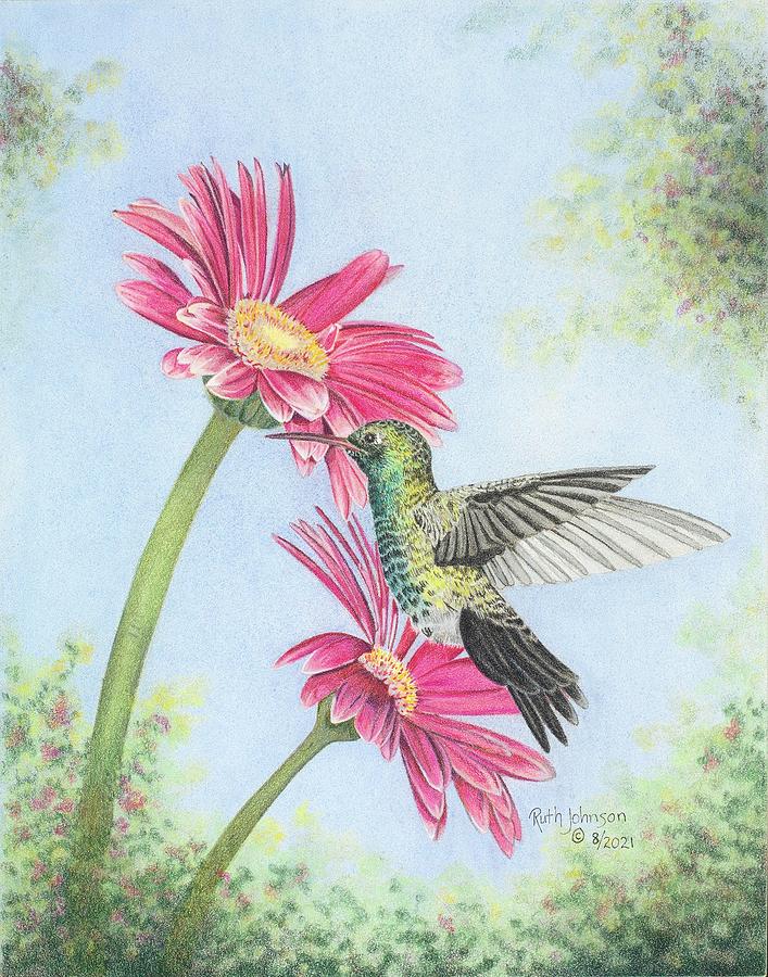 Hummingbird Painting - Green-breasted Mango Hummingbird by Ruth Johnson