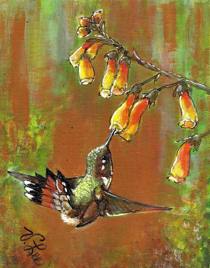 Green-Breasted Mango Painting by VLee Watson