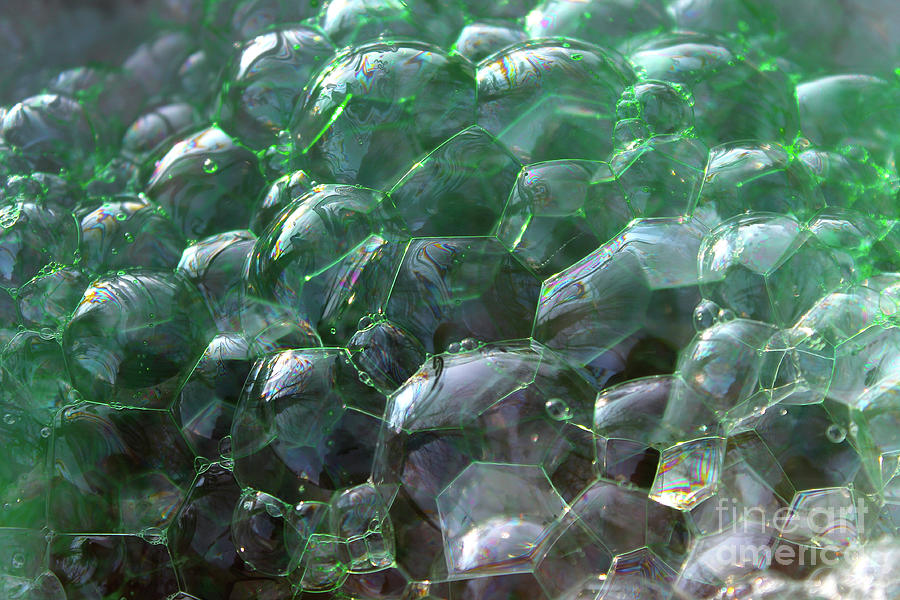 Green Bubble Structure Photograph by Nina Silver