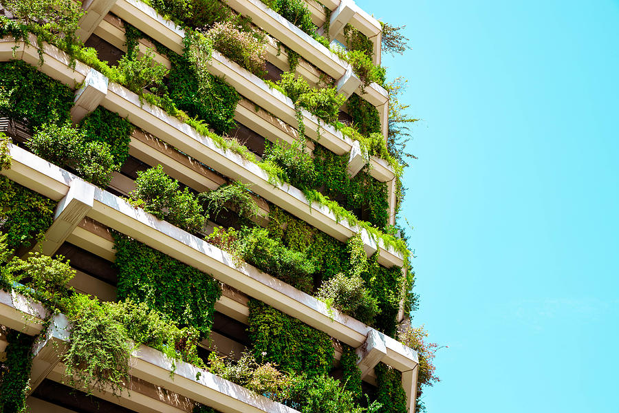 Green building with vertical garden. Photograph by Artur Debat