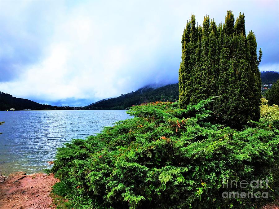 Green Bushes In Front Of Blue Lake Gerardmer Photograph
