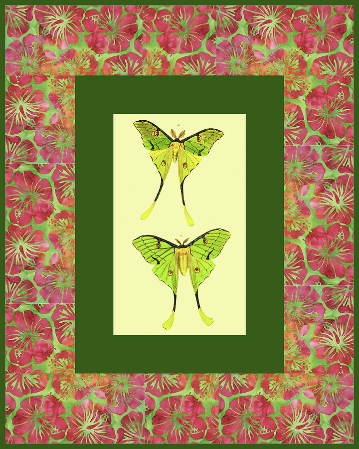 Green Butterflies Digital Art by Lorena Cassady
