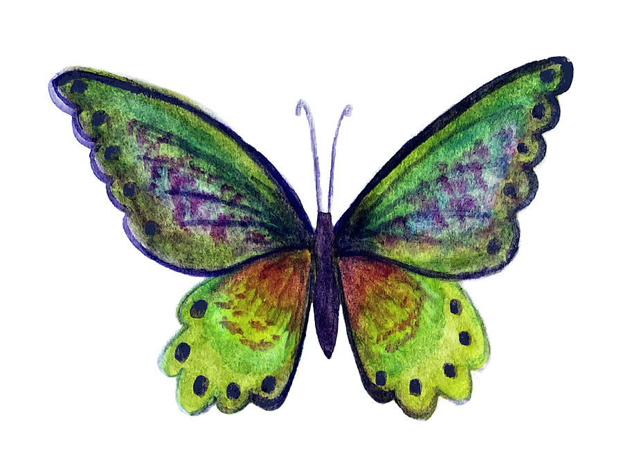 Green Butterfly On White Painting by Deborah League